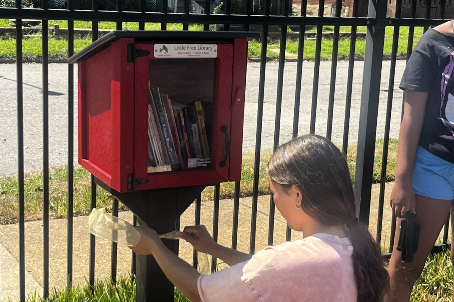 Little Libraries (1)